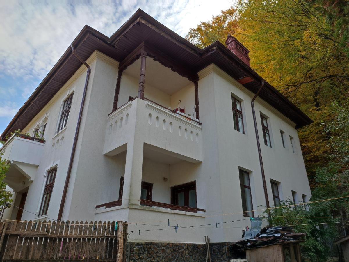 Vila Brazilor Caciulata Luaran gambar